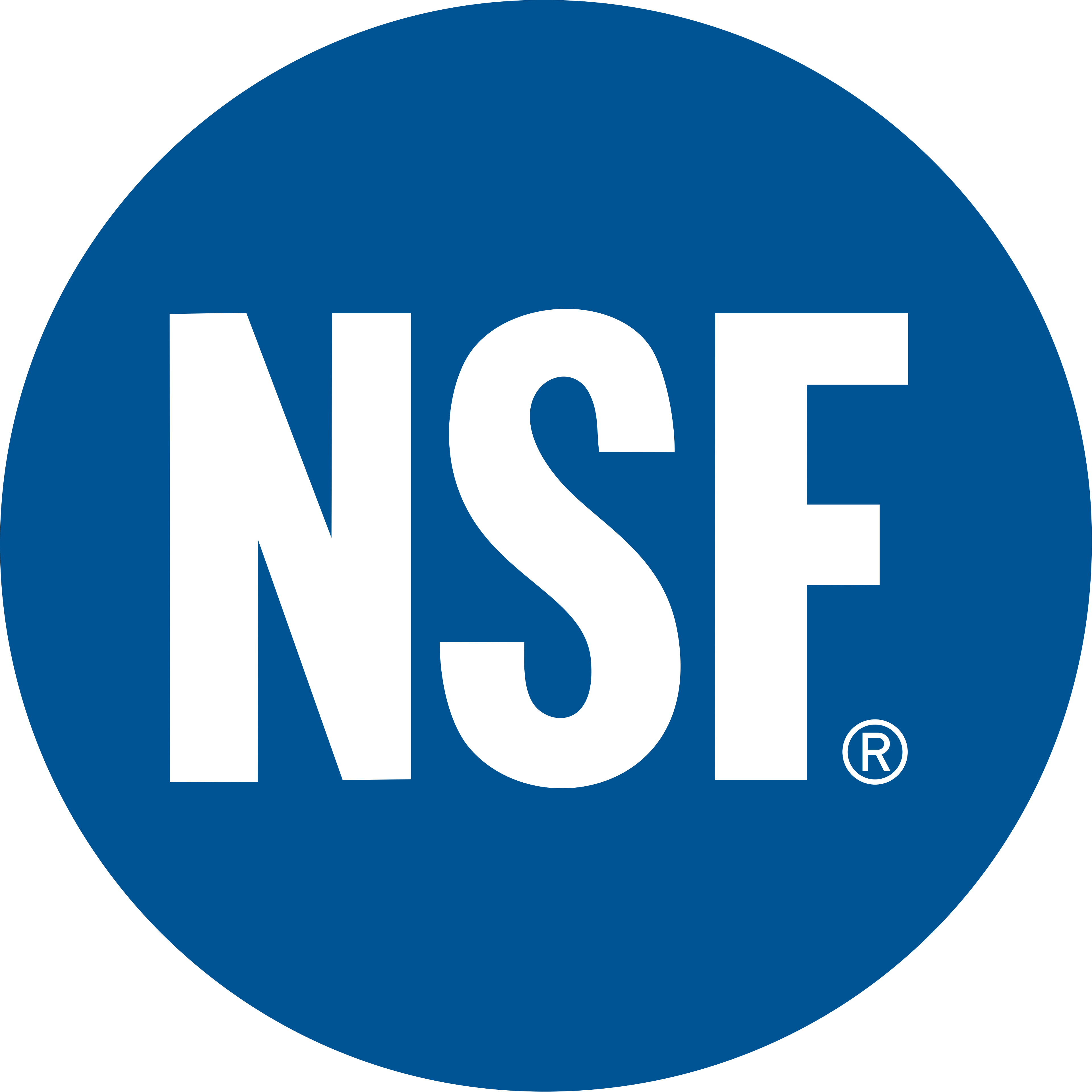 NSF International — independent public health certification organization